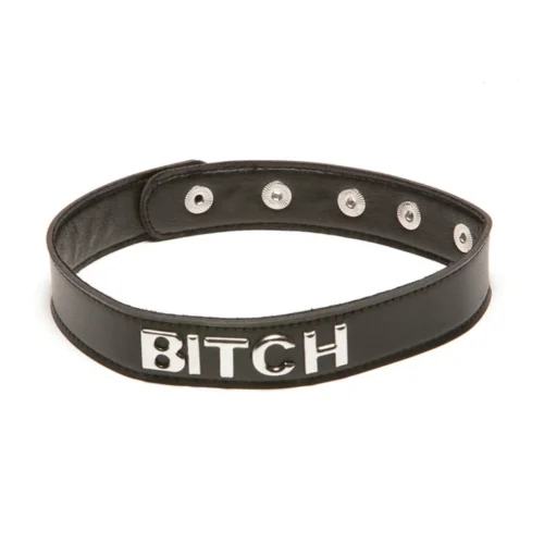 Allure Accessories Talk Dirty To Me 'BITCH' BDSM Choker