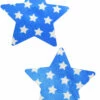 GE Apparel Blue And White Star Pasties