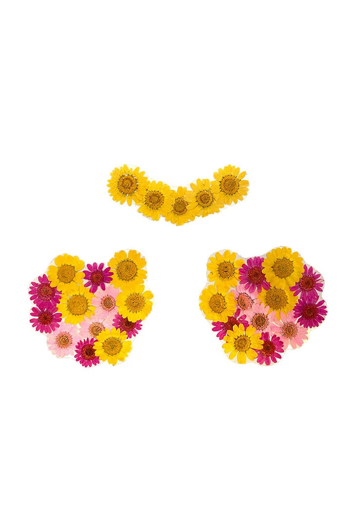 NevaNude Lingerie Indio Empress Yellow Real Dried Pressed Flower Nipztix 1 NevaNude Lingerie Indio Empress Yellow Real Dried Pressed Flower Nipztix