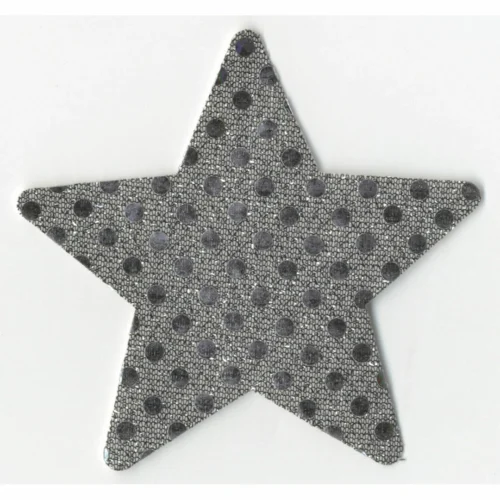 Entrenue Night Fever Dark Silver Star Pasties
