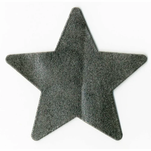 Entrenue Night Fever Dark Silver Star Pasties