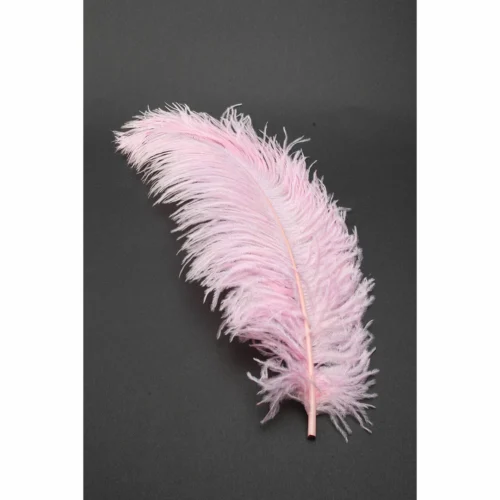 Entrenue Accessories Deluxe Plumes Large 18-28
