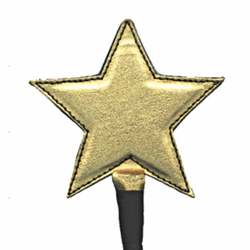 Entrenue Accessories Crop Gold Star