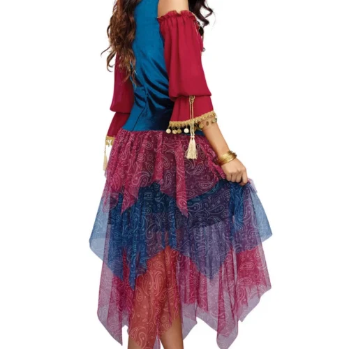 Dreamgirl Sexy Halloween Costumes Fortune Teller Costume