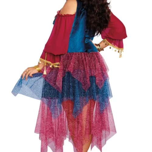 Dreamgirl Plus Size Gypsy Costume