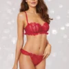 Dreamgirl Embroidered Heart Lace And Mesh Bra Set Lingerie