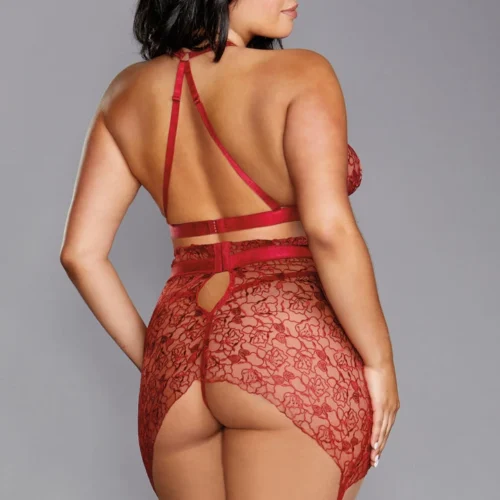 Dreamgirl Plus Size Floral Embroidered Bra And Garterskirt