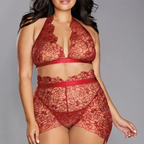 Dreamgirl Plus Size Floral Embroidered Bra And Garterskirt