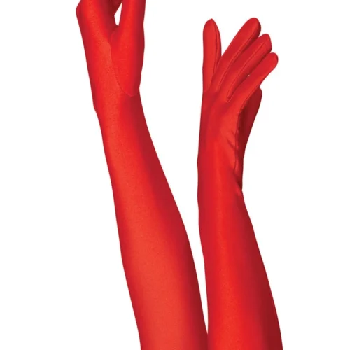 Dreamgirl Luna Gloves Accessories