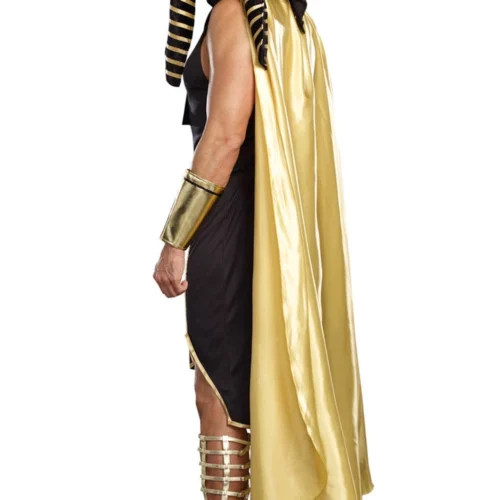 Dreamgirl King Of Egypt Costume 9 Dreamgirl King Of Egypt Costume