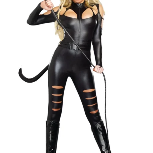Dreamgirl Sexy Halloween Costumes Cat Fight Costume