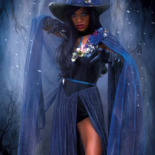 Dreamgirl Midnight Fantasy Witch Costume Sexy Halloween Costumes