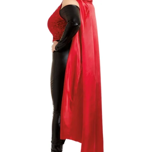 Dreamgirl Plus Size Seductive Red Costume