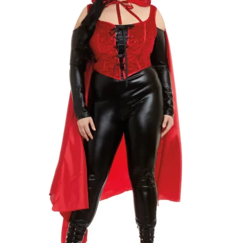 Dreamgirl Plus Size Seductive Red Costume