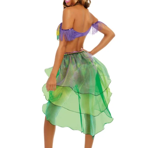 Dreamgirl Sexy Halloween Costumes Mardi Gras Queen Costume