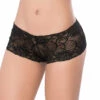 Mapale All Lace Boyshorts Lingerie