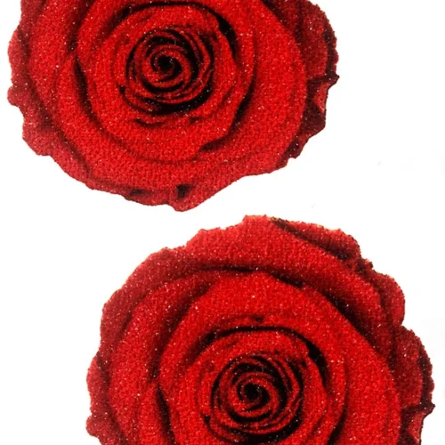 NevaNude Glitter Red Rose Nipple Pasties Lingerie