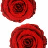 NevaNude Glitter Red Rose Nipple Pasties Lingerie