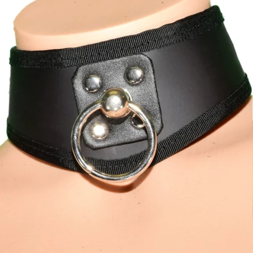 Funk Plus Lingerie D Ring Leather BDSM Training Collar