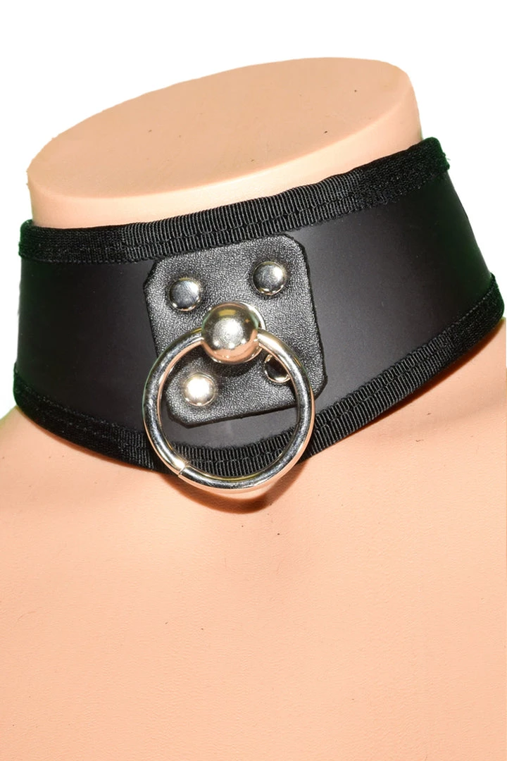 Funk Plus Lingerie D Ring Leather BDSM Training Collar 1 Funk Plus Lingerie D Ring Leather BDSM Training Collar