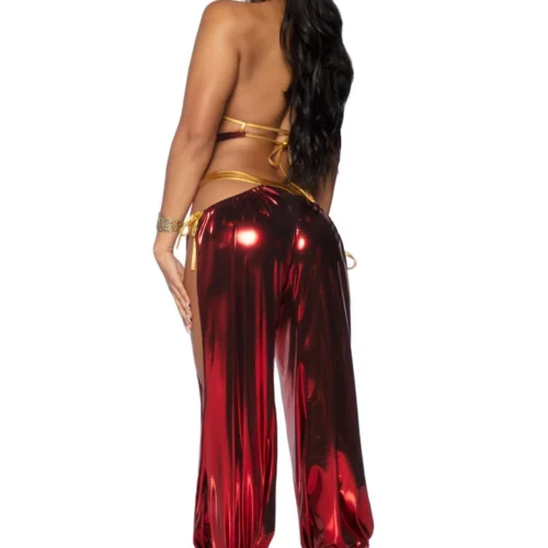 Leg Avenue Ruby Desert Princess Costume 6 Leg Avenue Ruby Desert Princess Costume