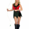 Music Legs Sexy Halloween Costumes Lady Robin Costume