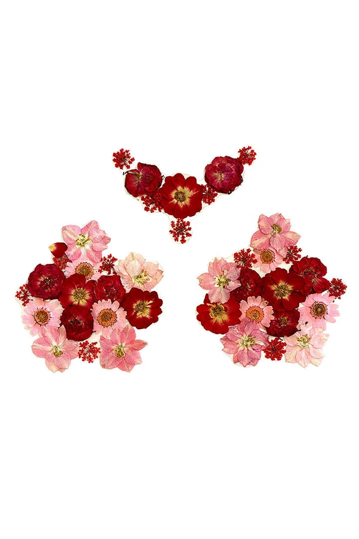 NevaNude Harvest Moondancer Red Real Dried Pressed Flower Nipztix 1 NevaNude Harvest Moondancer Red Real Dried Pressed Flower Nipztix