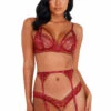 Roma Costume Lingerie Glittered Strappy Garter Set