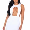 Roma Cut Out High Neck Mini Dress