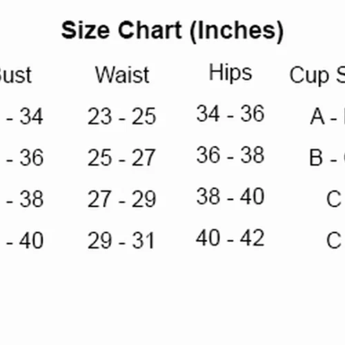 Starline Sexy Halloween Costumes Devil Cat Costume