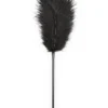 3WISHES Accessories Black Feather Tickler