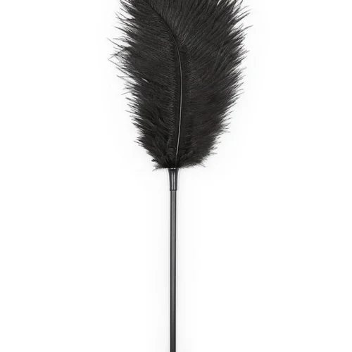 3WISHES Accessories Black Feather Tickler