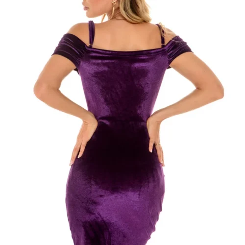 3Wishes Ruched Velvet Mini Dress