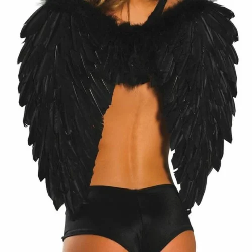 Roma Costume Angel Wings
