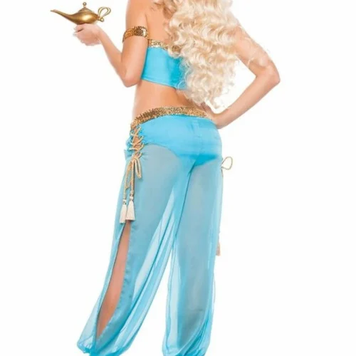 Starline Costume Sexy Arabian Nights Costume TV & Movie Costumes