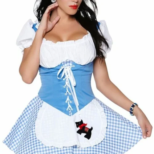 Leg Avenue Dorothy Girl Costume TV & Movie Costumes