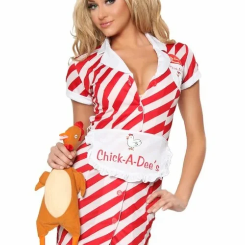 Dreamgirl Chick A Dees Chick Costume Sexy Halloween Costumes