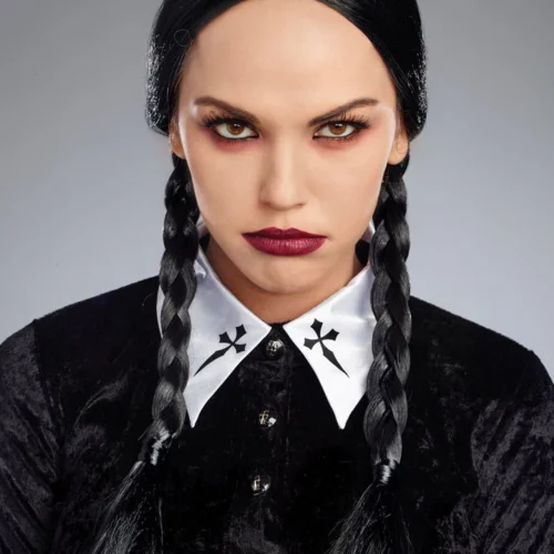 Dreamgirl Accessories Double Braid Wig