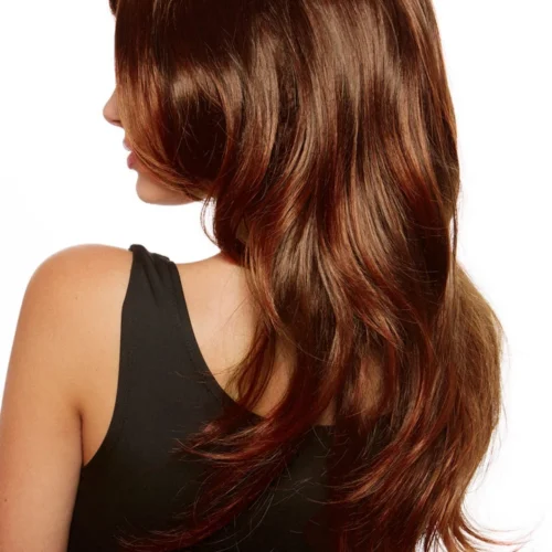 Dreamgirl Auburn Ombre Wig