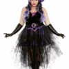 Dreamgirl Plus Size Boo-Tiful Witch Costume