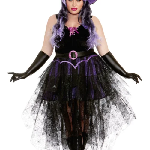 Dreamgirl Plus Size Boo-Tiful Witch Costume