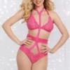 Dreamgirl Plus Size Lingerie Plus Size Hot Pink Harness Teddy