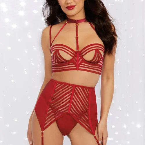 Dreamgirl Lingerie Sexy And Strappy Bra Set