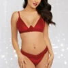 Dreamgirl Velvet Desires Bra Set