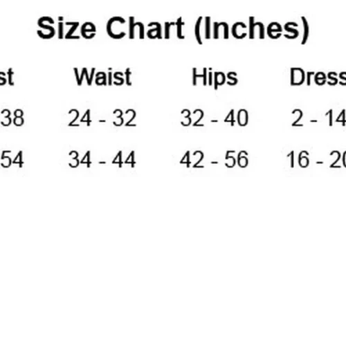 Dreamgirl Smarty Pants Lingerie Costume