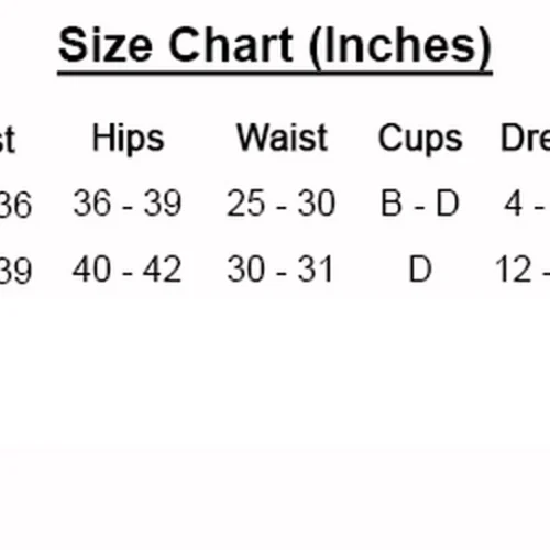 G World Intimates Lingerie Purple Cut Out Chemise With Lace Garter