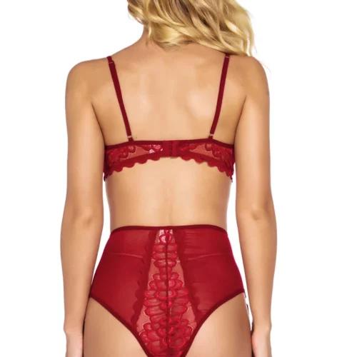 3WISHES Fine Feather Mesh Bra Set Lingerie